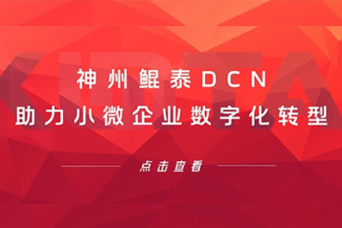 mg冰球突破(中国)DCN助力小微企业数字化转型